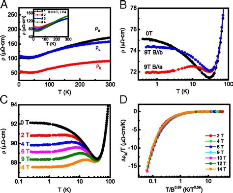 Quantum Critical Fluctuations In Layered YFe2Al10 PNAS