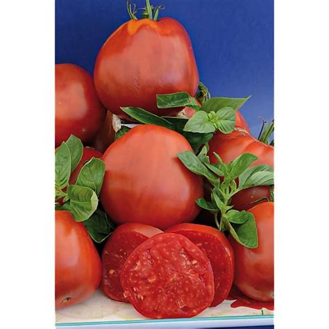 Tomate Super Marmande Graines Baumaux