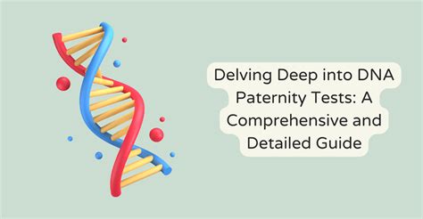 Delving Deep Into Dna Paternity Tests A Comprehensive And Detailed