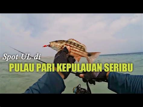 Spot Mancing Di Pulau Pari Kepulauan Seribu Di Jamin Nagih YouTube