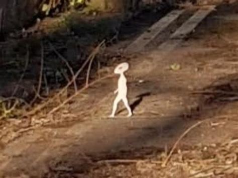 Woman Captures Bizarre Tiny Humanoid On Camera Wigan Today