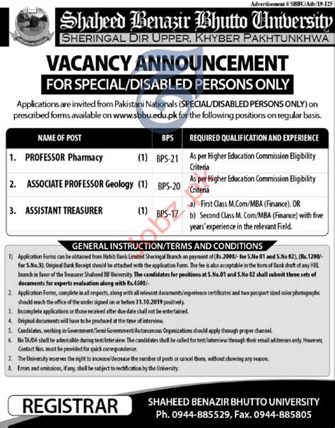 Shaheed Benazir Bhutto University Upper Dir Kpk Jobs 2024 Job