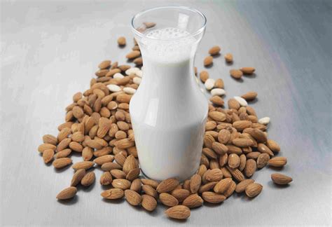 The Best Milks For Ibs And Your Belly