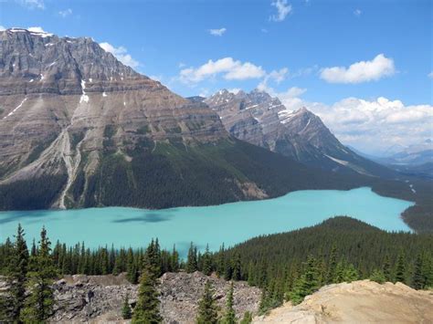 Bow Summit Peyto Lake Hike (Banff Icefields Parkway Epic Views)