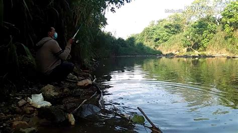 MANCING DI KALI PEDALAMAN HUTAN LIAR YouTube