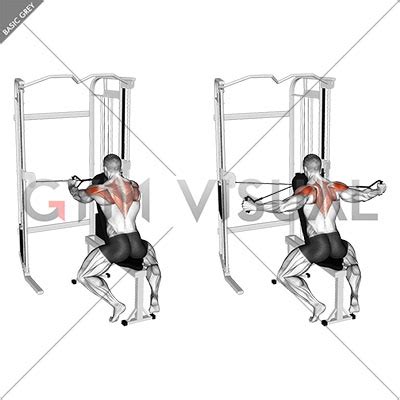 Cable Seated Rear Delt Fly with Chest Support