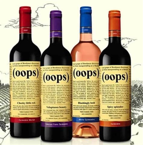 10 Of The Funniest Wine Brand Names