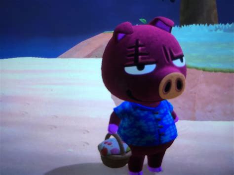 island rasher animalcrossing