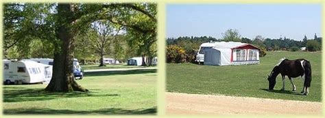 New Forest Camping | New Forest National Park