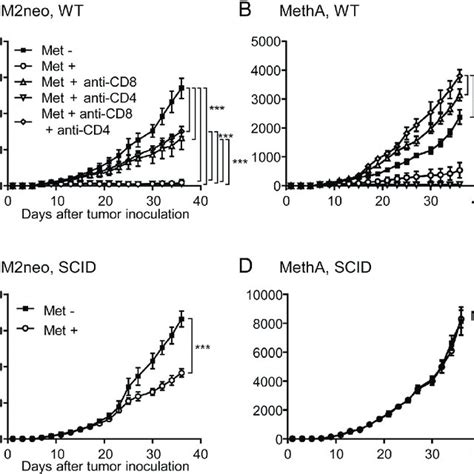 Differential Incorporation Of Nbdg And Bodipy By Mdscs And Tams Upon