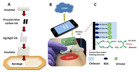 Biosensors Free Full Text Wearable Sensors For The Detection Of