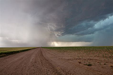 Chasing the Plains | Kit Carson County, Colorado | Stan Rose Images