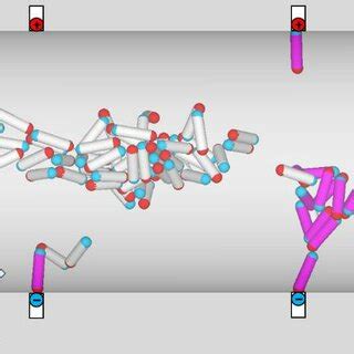 Snapshots For Two Different Arrangements Of Two Pairs Of Magnetic