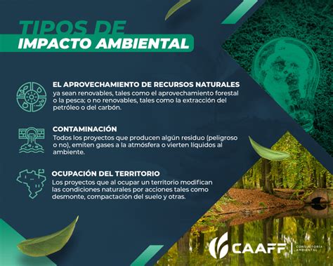 Cu Les Son Los Diferentes Tipos De Aprovechamiento Forestal Tipos De