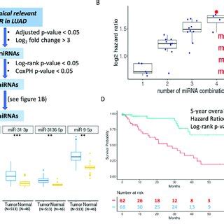 Integrative Bioinformatics Analysis For The Identification Of Oncomirs