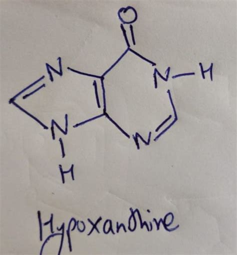 Answered: Adenine can be deaminated to… | bartleby