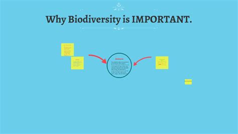 Why Is Biodiversity Important Option9 By Davis Warms On Prezi