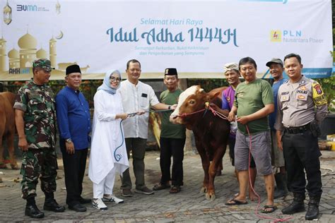 Pln Nusantara Power Salurkan Ribu Paket Daging Hewan Kurban