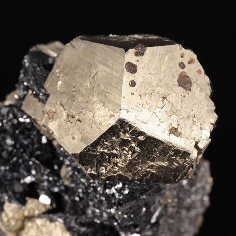 Pyrite On Hematite Classic Material Ex Rich Kosnar Collection Rio