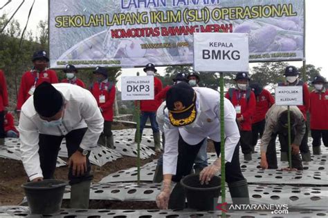 Sekolah Lapang Iklim Solusi Adaptasi Perubahan Cuaca Sektor Pertanian