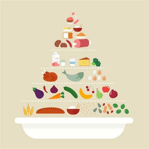 Piramide Alimenticia Nutricional Vector Free Vector Freepik Fre Images