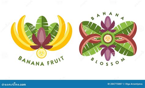 Set Of Logos With Yellow Red Bananas Stock Vector Illustration Of