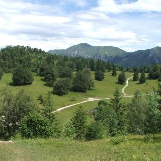 I Migliori Sentieri Per La Mtb In Lago Di Ledro Outdooractive