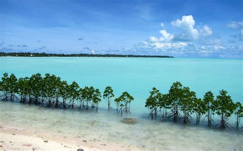Kiribati Island Best Wallpaper 123578 Baltana