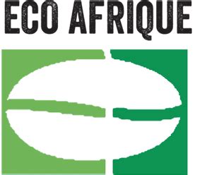 eco afrique cabinet rh dakar contacts