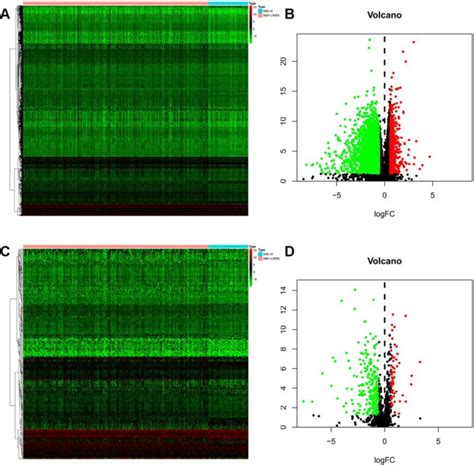 Differentially Expressed Immune Related Genes Irgs A B Heatmap Download Scientific