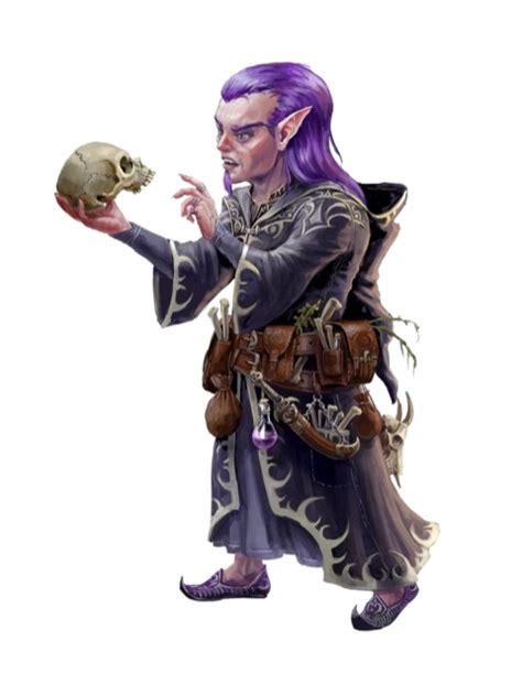 Male Gnome Sorcerer Purple Pathfinder Pfrpg Dnd D D E Th Ed D