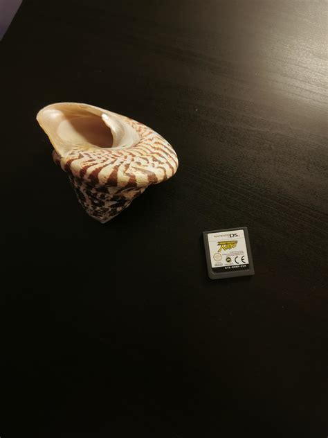 can someone tell what kinda shell this is? : r/shells