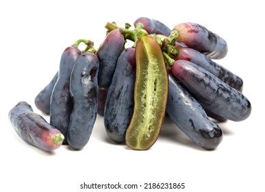 Raw Organic Long Purple Grapes On Stock Photo 2186231865 | Shutterstock