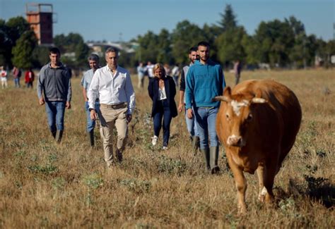 Ayudas a jóvenes agricultores y ganaderos El Resurgir de Madrid