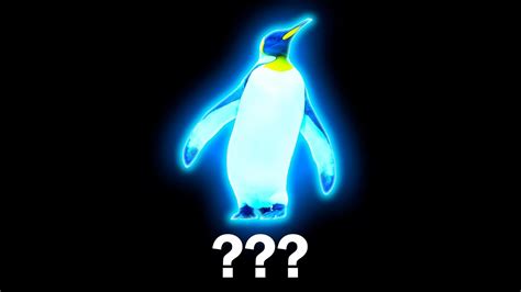 15 Penguin Sound Variations In 30 Seconds Youtube