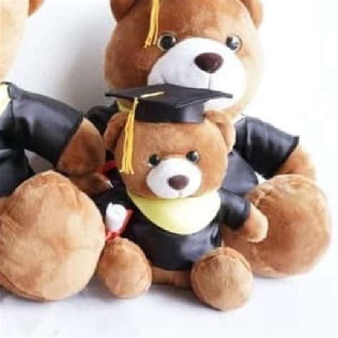 Jual Boneka Wisuda 7 Beruang Sarjana Graduation Teddy Bear Di