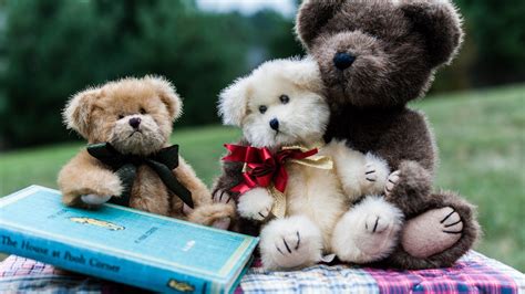 обои : плюшевые мишки, Игрушка, Щенок, Млекопитающее, Взаимодействие ...