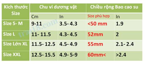 Size Bao Cao Su Và Cách đo Kích Thước Dương Vật Trai18