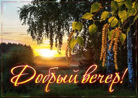 Потрясающая открытка Добрый вечер! С природой - Скачать бесплатно на ...