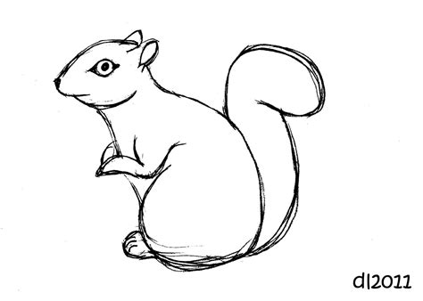 Line Drawing Squirrel At Getdrawings Free Download