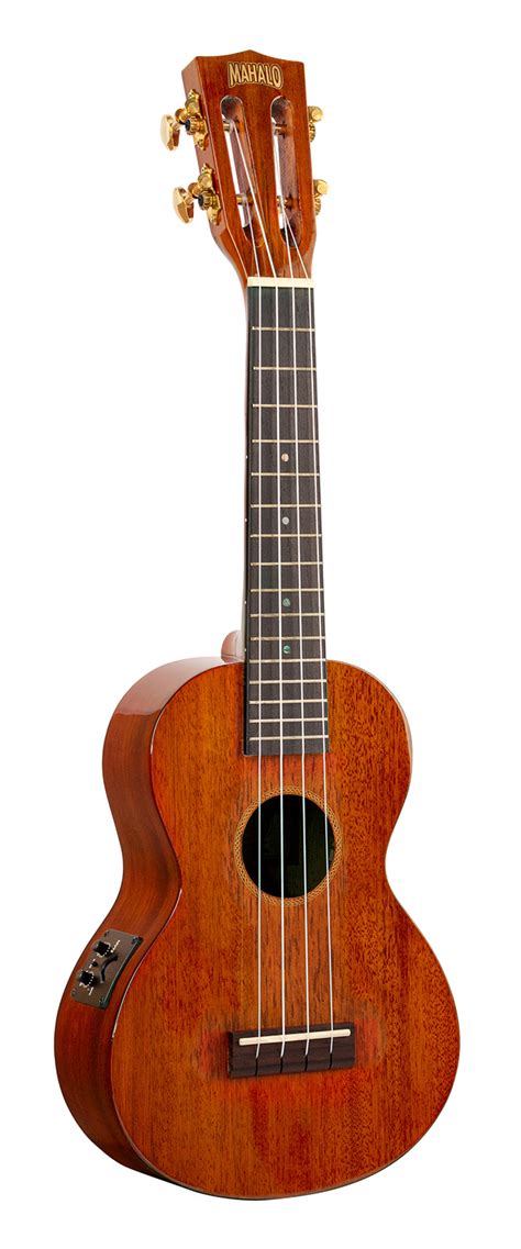 Java Series Concert Electric Acoustic Cutaway Mahalo Ukuleles