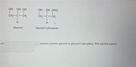 For Each Pair Of Biomolecules Identify The Type Of Chegg