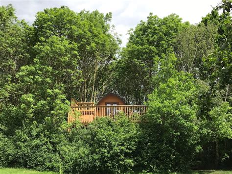 England Treehouse Holiday Rentals - United Kingdom | Airbnb