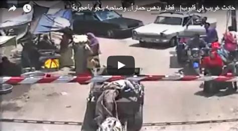 بالفيديو شاهد كيف نجا سائق كارو من موت محقق بسبب حماره منوعات من