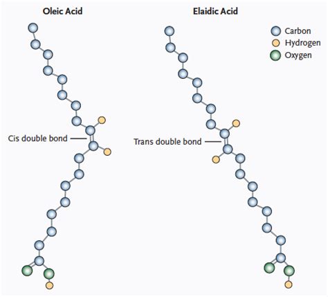 What Are Trans Fats Omegaquant