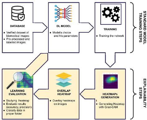 Figure From Explainable Deep Learning Methodologies For Biomedical