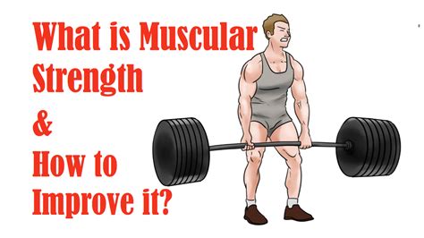 Definition Of Muscular Fitness