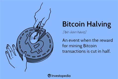 5 Phases Of The Bitcoin Halving