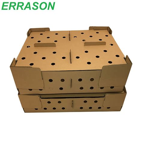 Cardboard Transport Box For Chicken