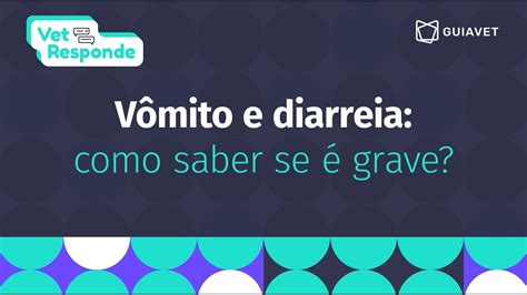 Cachorro vomitando e diarreia como saber se é grave YouTube